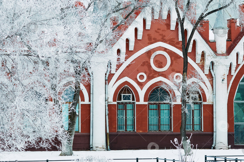 Скачать Snow-covered white tree branches against the background of the facade of an old red brick building. Arched windows and white columns. Texture of frozen plants. Winter architectural landscape фотосток Ozero