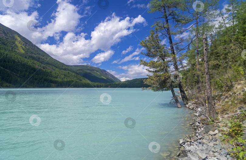 Скачать Kucherla lake. Altai Mountains, Russia. фотосток Ozero