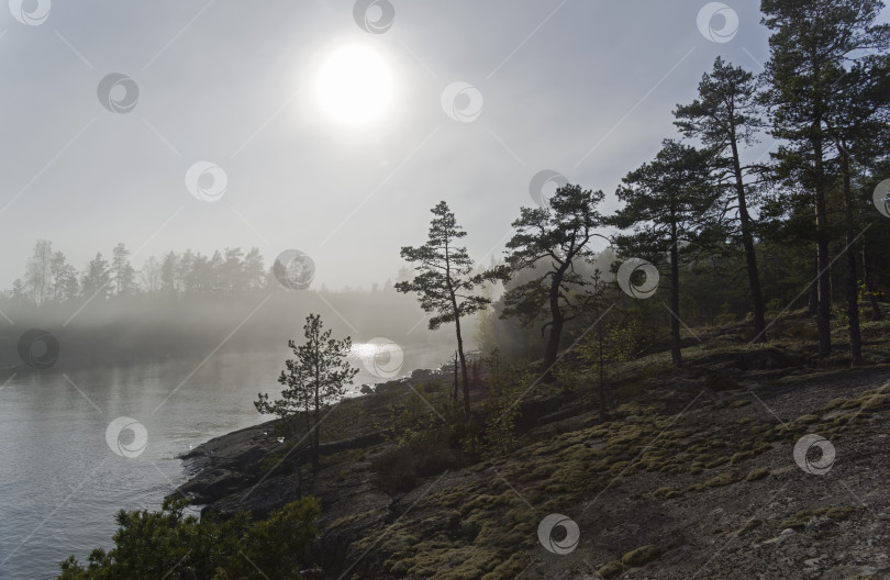 Скачать The sun shines through thick fog.  Karelia, Russia. фотосток Ozero