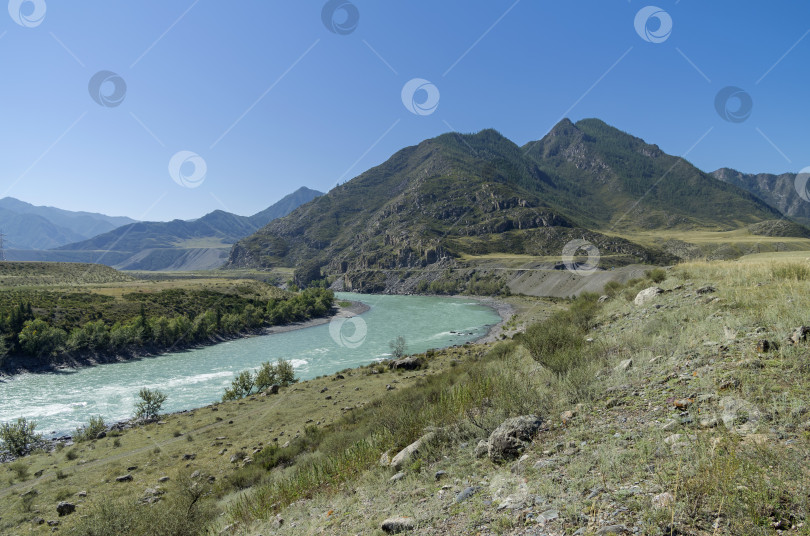 Скачать Katun River. Altai Mountains, Russia. фотосток Ozero