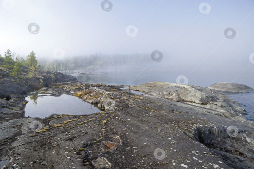 Скачать A thick fog on the shore of the Ladoga Lake. Karelia, Russia. фотосток Ozero