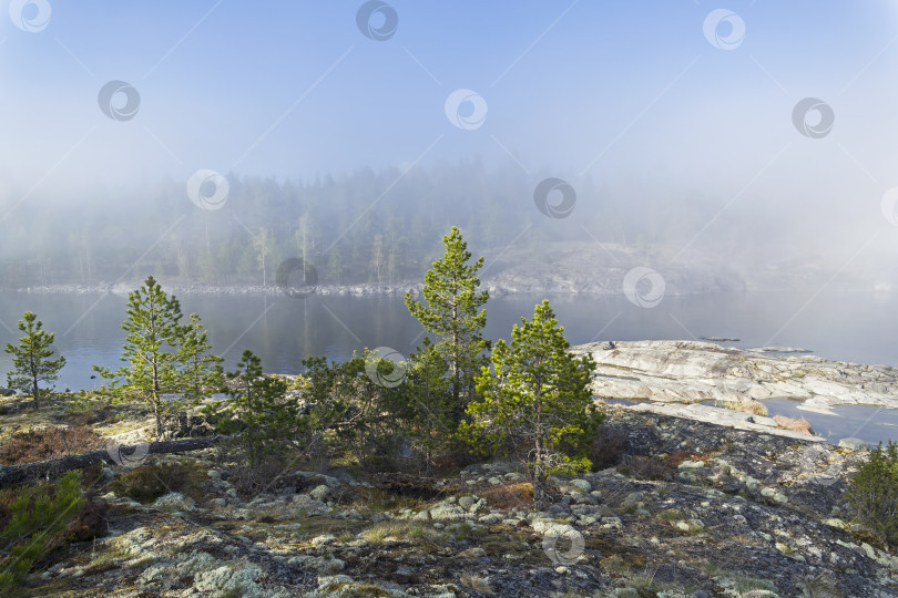 Скачать A rare weather phenomenon - a cloud on the surface of a lake on a sunny day. Karelia, Russia. фотосток Ozero