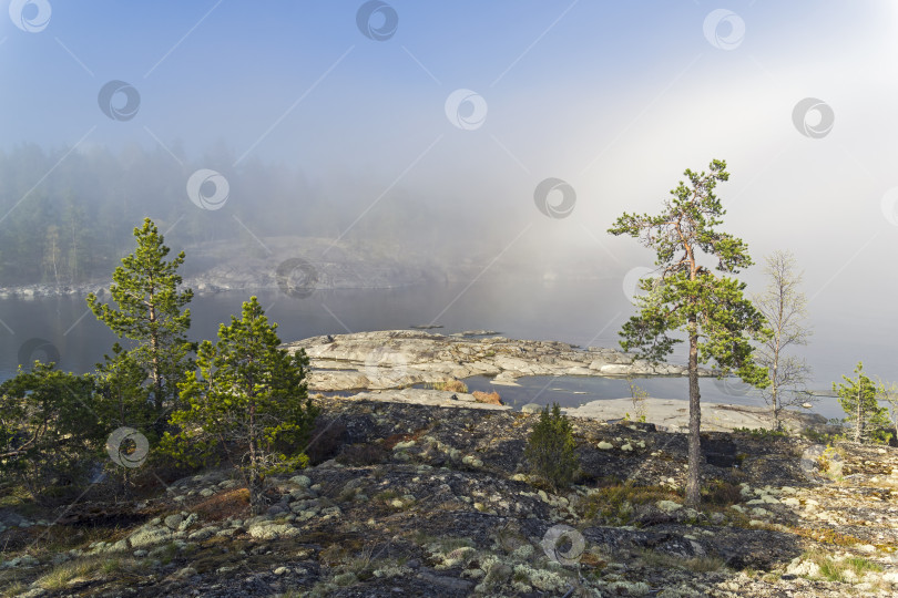 Скачать A rare weather phenomenon - a cloud on the surface of a lake on a sunny day. Karelia, Russia. фотосток Ozero