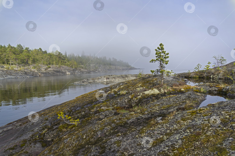 Скачать Fog in Ladoga skerries. Karelia, Russia. фотосток Ozero