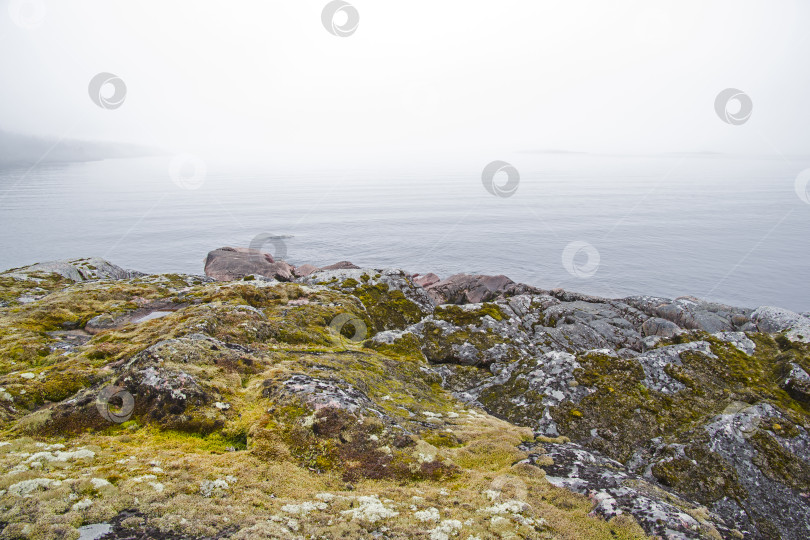 Скачать Fog in the Ladoga skerries. Karelia, Russia. фотосток Ozero