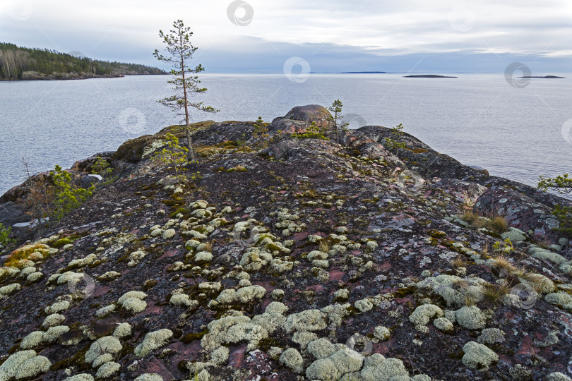 Скачать Rocky shore of Lake Ladoga. фотосток Ozero