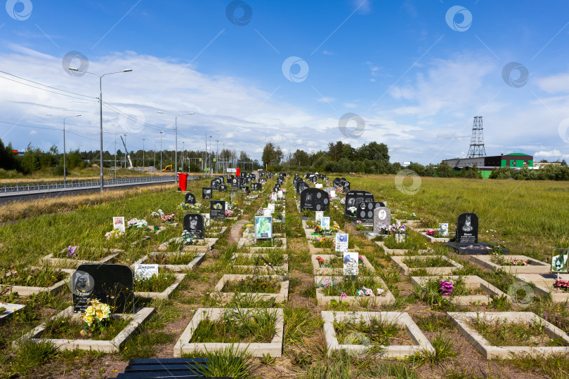 Скачать Могилы на кладбище домашних животных фотосток Ozero