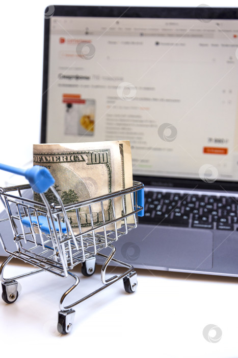 Скачать A supermarket trolley with a hundred-dollar bill on the background of a laptop. фотосток Ozero