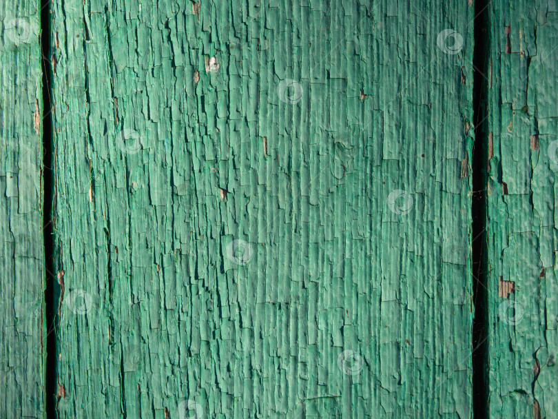 Скачать A green wooden wall with peeling paint. The texture of the wooden boards is painted bright green for the design фотосток Ozero