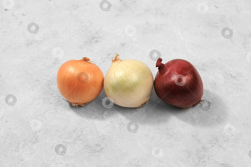 Скачать Various varieties of onions on a gray concrete background, the concept of harvesting in autumn, red, white and golden onions for breeding in agriculture, selective focus фотосток Ozero