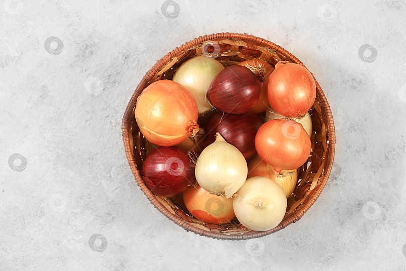 Скачать Various varieties of onions in a basket on a gray concrete background, autumn harvest concept, red, white and golden onions for breeding in agriculture, selective focus фотосток Ozero