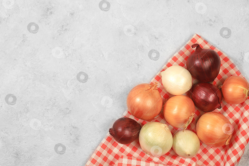 Скачать Various varieties of onions on a gray concrete background, the concept of harvesting in autumn, red, white and golden onions for breeding in agriculture, selective focus фотосток Ozero