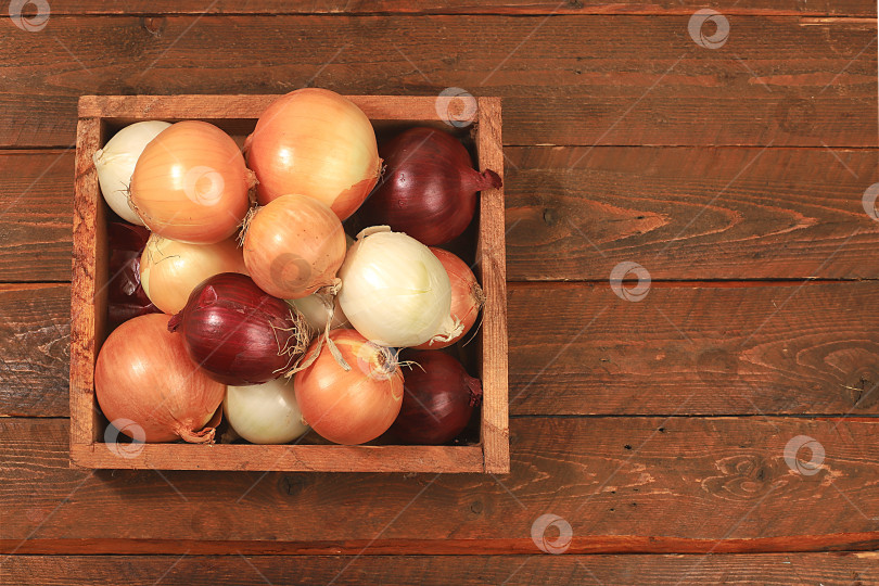 Скачать Various varieties of onions in a box on a wooden background, autumn harvest concept, red, white and golden onions for breeding in agriculture, selective focus фотосток Ozero