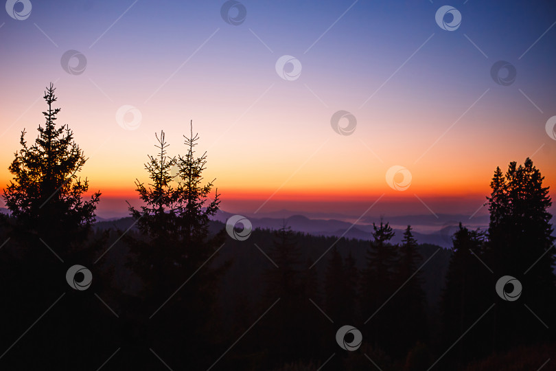 Скачать Силуэт ели на фоне горной долины и оранжево-фиолетового неба на рассвете. Восход солнца в горах, панорамный вид. фотосток Ozero