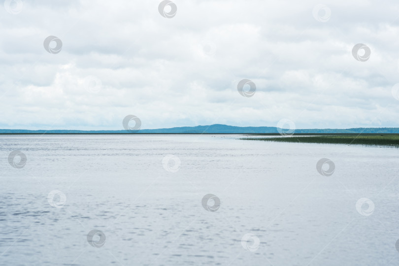 Скачать natural landscape, vast shallow lake with reed banks on a rainy day фотосток Ozero