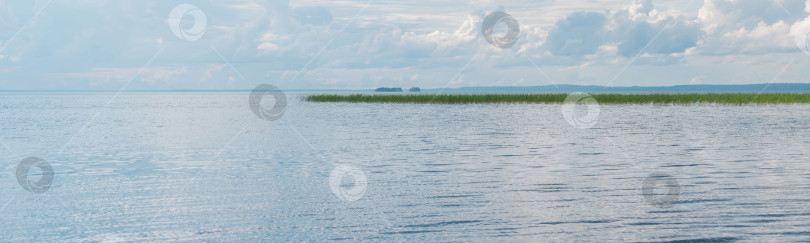 Скачать natural landscape, wide lake with reed banks and distant shoreline фотосток Ozero