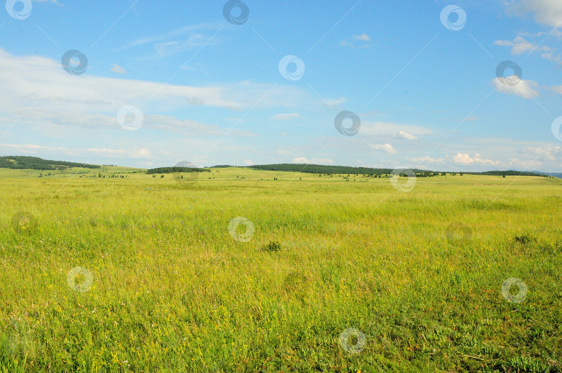 Скачать Hilly boundless steppe overgrown with young grass under a cloudy summer sky. фотосток Ozero