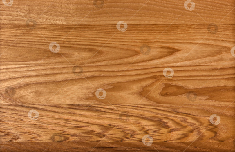 Скачать Brown Beige Texture of stained oak wood with grain, fragment of a wooden panel hardwood. surface bark is used as natural background, web page, board, table. Contrasts and symmetries. Space for text. фотосток Ozero