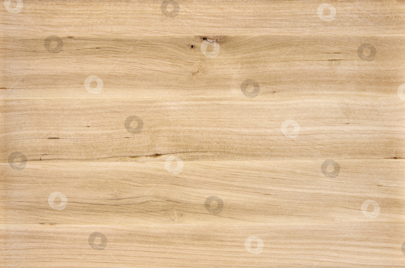 Скачать Brown Beige Texture of stained oak wood with grain, fragment of a wooden panel hardwood. surface bark is used as natural background, web page, board, table. Contrasts and symmetries. Space for text. фотосток Ozero