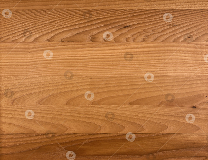 Скачать Brown Beige Texture of stained oak wood with grain, fragment of a wooden panel hardwood. surface bark is used as natural background, web page, board, table. Contrasts and symmetries. Space for text. фотосток Ozero