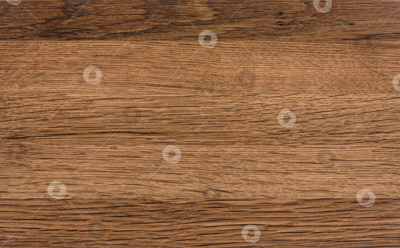 Скачать Brown Beige Texture of stained oak wood with grain, fragment of a wooden panel hardwood. surface bark is used as natural background, web page, board, table. Contrasts and symmetries. Space for text. фотосток Ozero