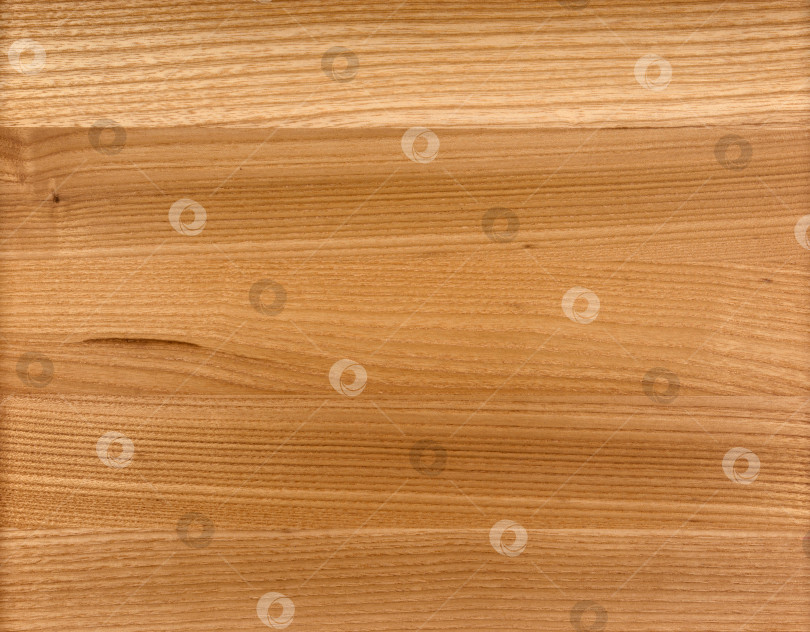 Скачать Brown Beige Texture of stained oak wood with grain, fragment of a wooden panel hardwood. surface bark is used as natural background, web page, board, table. Contrasts and symmetries. Space for text. фотосток Ozero