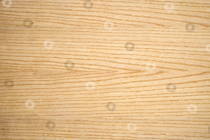 Скачать Brown Beige Texture of stained oak wood with grain, fragment of a wooden panel hardwood. surface bark is used as natural background, web page, board, table. Contrasts and symmetries. Space for text. фотосток Ozero