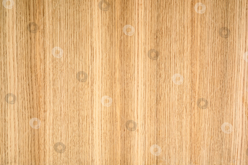 Скачать Brown Beige Texture of stained oak wood with grain, fragment of a wooden panel hardwood. surface bark is used as natural background, web page, board, table. Contrasts and symmetries. Space for text. фотосток Ozero