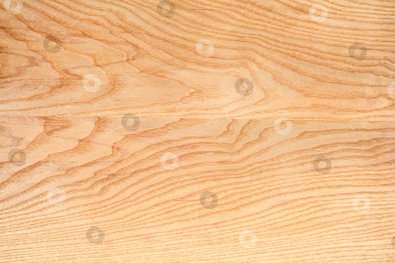 Скачать Brown Beige Texture of stained oak wood with grain, fragment of a wooden panel hardwood. surface bark is used as natural background, web page, board, table. Contrasts and symmetries. Space for text. фотосток Ozero