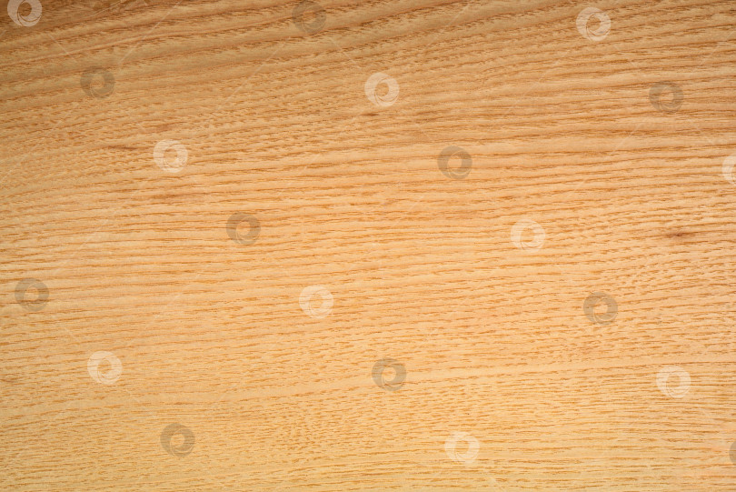 Скачать Brown Beige Texture of stained oak wood with grain, fragment of a wooden panel hardwood. surface bark is used as natural background, web page, board, table. Contrasts and symmetries. Space for text. фотосток Ozero