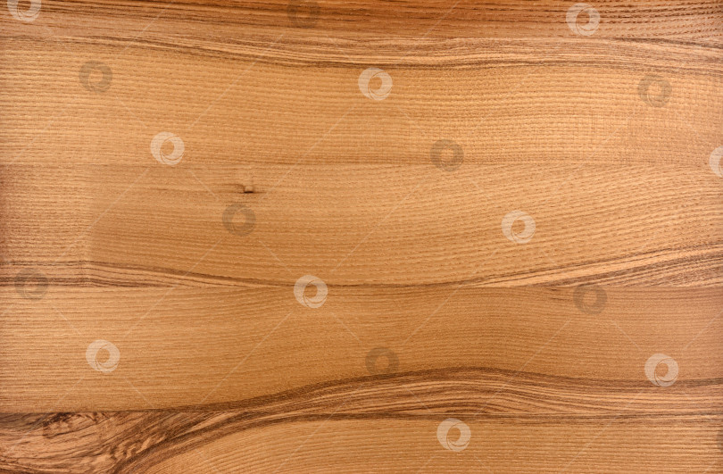 Скачать Brown Beige Texture of stained oak wood with grain, fragment of a wooden panel hardwood. surface bark is used as natural background, web page, board, table. Contrasts and symmetries. Space for text. фотосток Ozero