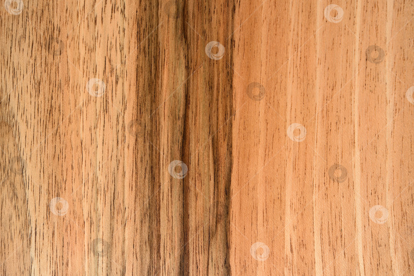 Скачать Brown Beige Texture of stained oak wood with grain, fragment of a wooden panel hardwood. surface bark is used as natural background, web page, board, table. Contrasts and symmetries. Space for text. фотосток Ozero