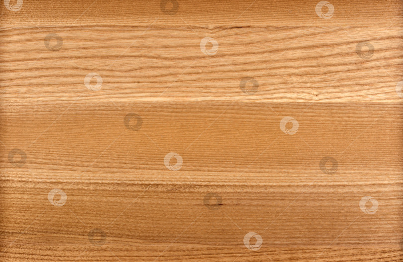 Скачать Brown Beige Texture of stained oak wood with grain, fragment of a wooden panel hardwood. surface bark is used as natural background, web page, board, table. Contrasts and symmetries. Space for text. фотосток Ozero