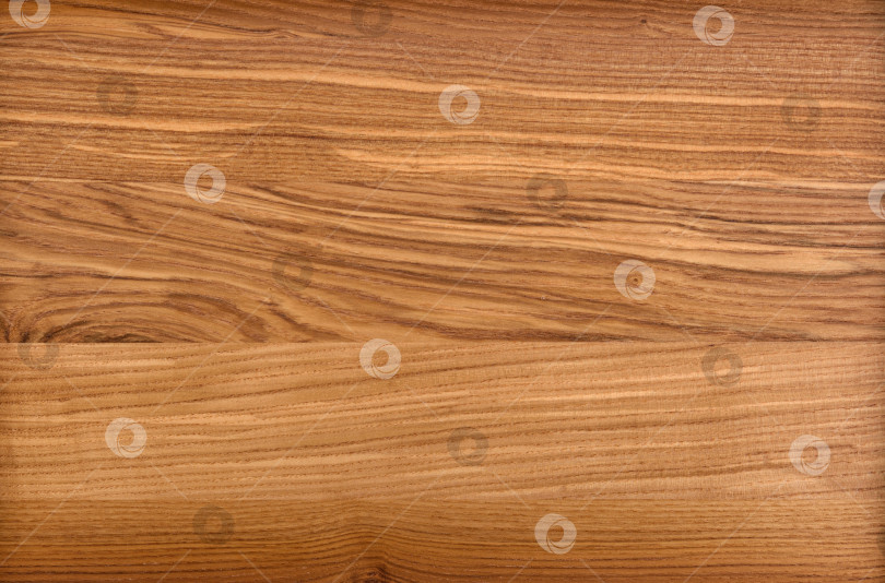 Скачать Brown Beige Texture of stained oak wood with grain, fragment of a wooden panel hardwood. surface bark is used as natural background, web page, board, table. Contrasts and symmetries. Space for text. фотосток Ozero