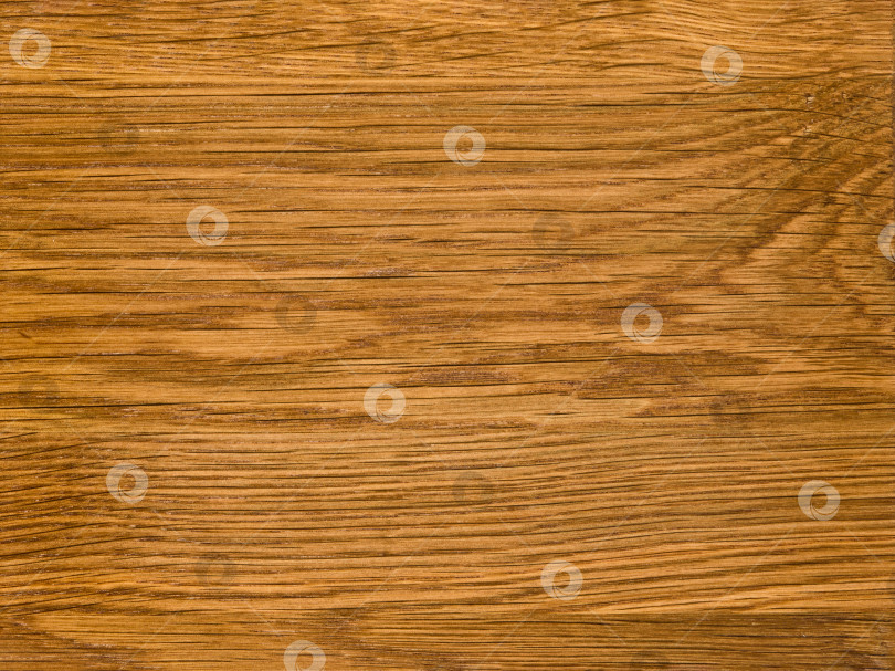 Скачать Brown Beige Texture of stained oak wood with grain, fragment of a wooden panel hardwood. surface bark is used as natural background, web page, board, table. Contrasts and symmetries. Space for text. фотосток Ozero