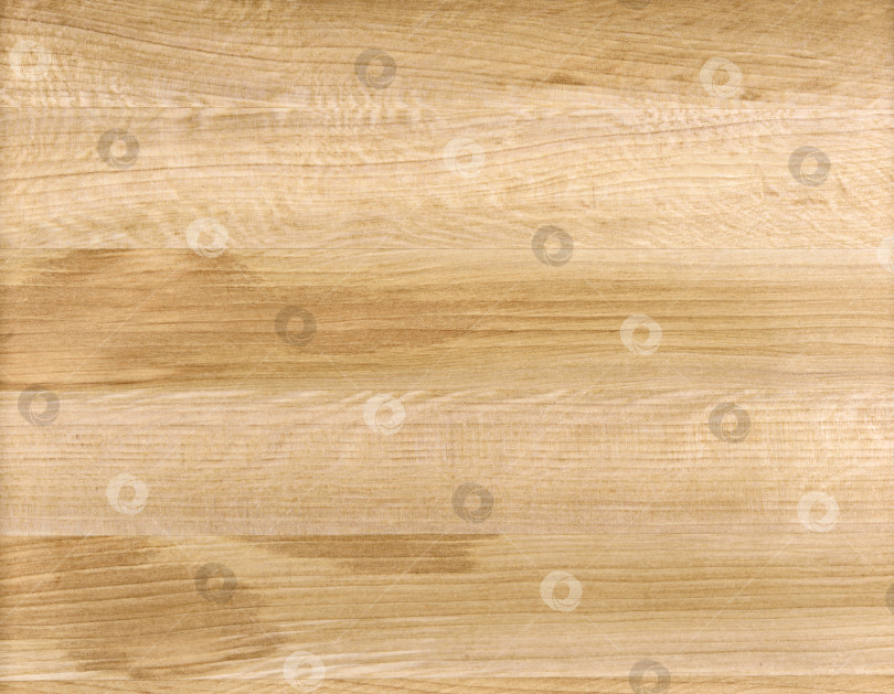 Скачать Brown Beige Texture of stained oak wood with grain, fragment of a wooden panel hardwood. surface bark is used as natural background, web page, board, table. Contrasts and symmetries. Space for text. фотосток Ozero