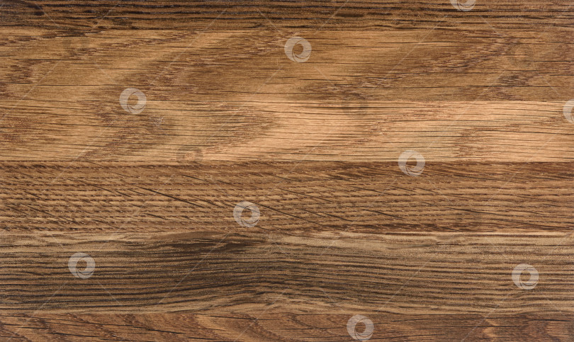 Скачать Brown Beige Texture of stained oak wood with grain, fragment of a wooden panel hardwood. surface bark is used as natural background, web page, board, table. Contrasts and symmetries. Space for text. фотосток Ozero