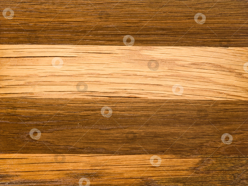 Скачать Brown Beige Texture of stained oak wood with grain, fragment of a wooden panel hardwood. surface bark is used as natural background, web page, board, table. Contrasts and symmetries. Space for text. фотосток Ozero