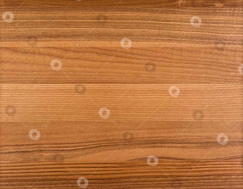 Скачать Brown Beige Texture of stained oak wood with grain, fragment of a wooden panel hardwood. surface bark is used as natural background, web page, board, table. Contrasts and symmetries. Space for text. фотосток Ozero