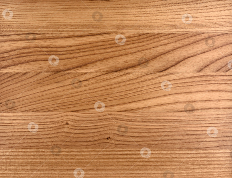 Скачать Brown Beige Texture of stained oak wood with grain, fragment of a wooden panel hardwood. surface bark is used as natural background, web page, board, table. Contrasts and symmetries. Space for text. фотосток Ozero