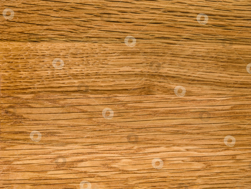 Скачать Brown Beige Texture of stained oak wood with grain, fragment of a wooden panel hardwood. surface bark is used as natural background, web page, board, table. Contrasts and symmetries. Space for text. фотосток Ozero