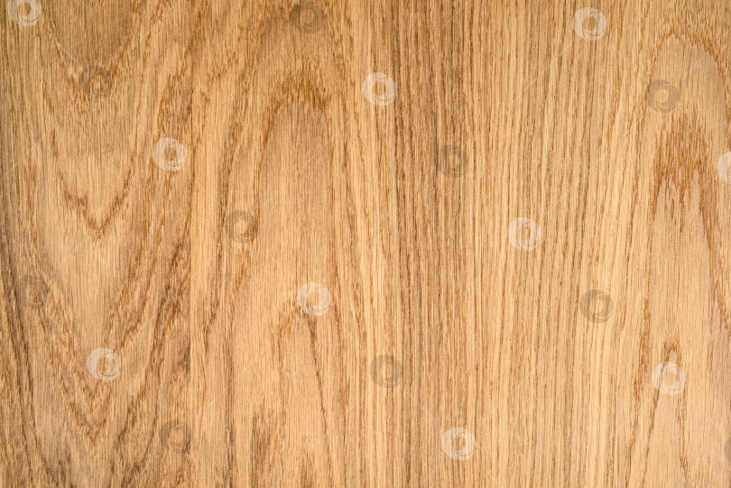 Скачать Brown Beige Texture of stained oak wood with grain, fragment of a wooden panel hardwood. surface bark is used as natural background, web page, board, table. Contrasts and symmetries. Space for text. фотосток Ozero