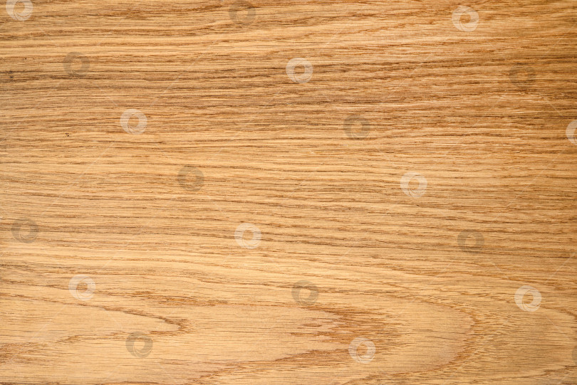 Скачать Brown Beige Texture of stained oak wood with grain, fragment of a wooden panel hardwood. surface bark is used as natural background, web page, board, table. Contrasts and symmetries. Space for text. фотосток Ozero