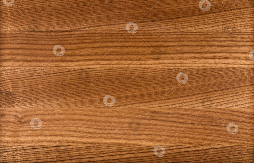 Скачать Brown Beige Texture of stained oak wood with grain, fragment of a wooden panel hardwood. surface bark is used as natural background, web page, board, table. Contrasts and symmetries. Space for text. фотосток Ozero