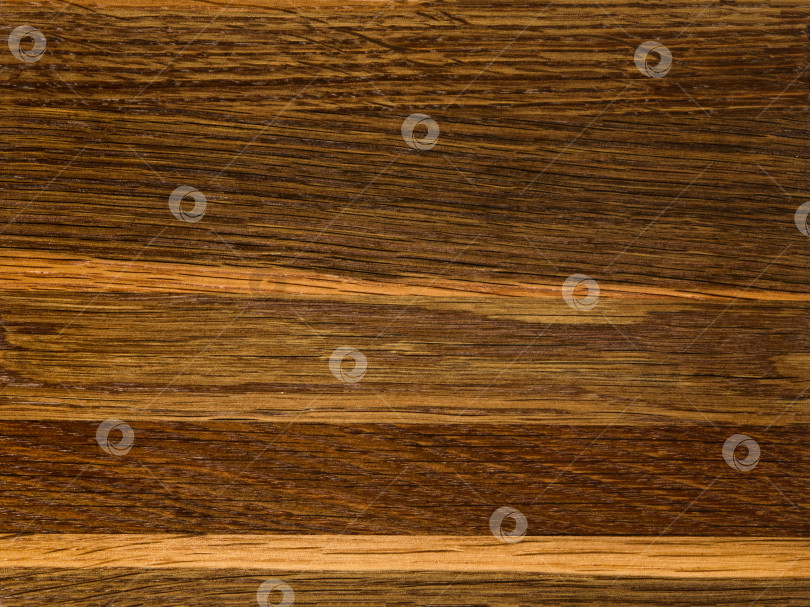 Скачать Brown Beige Texture of stained oak wood with grain, fragment of a wooden panel hardwood. surface bark is used as natural background, web page, board, table. Contrasts and symmetries. Space for text. фотосток Ozero