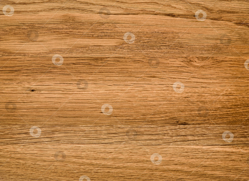 Скачать Brown Beige Texture of stained oak wood with grain, fragment of a wooden panel hardwood. surface bark is used as natural background, web page, board, table. Contrasts and symmetries. Space for text. фотосток Ozero