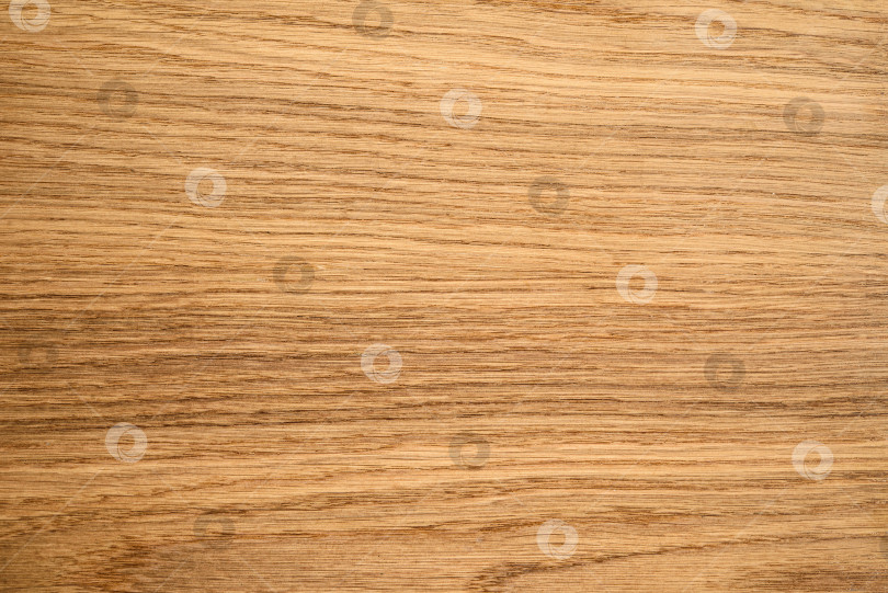 Скачать Brown Beige Texture of stained oak wood with grain, fragment of a wooden panel hardwood. surface bark is used as natural background, web page, board, table. Contrasts and symmetries. Space for text. фотосток Ozero