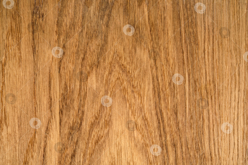 Скачать Brown Beige Texture of stained oak wood with grain, fragment of a wooden panel hardwood. surface bark is used as natural background, web page, board, table. Contrasts and symmetries. Space for text. фотосток Ozero