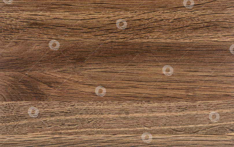 Скачать Brown Beige Texture of stained oak wood with grain, fragment of a wooden panel hardwood. surface bark is used as natural background, web page, board, table. Contrasts and symmetries. Space for text. фотосток Ozero