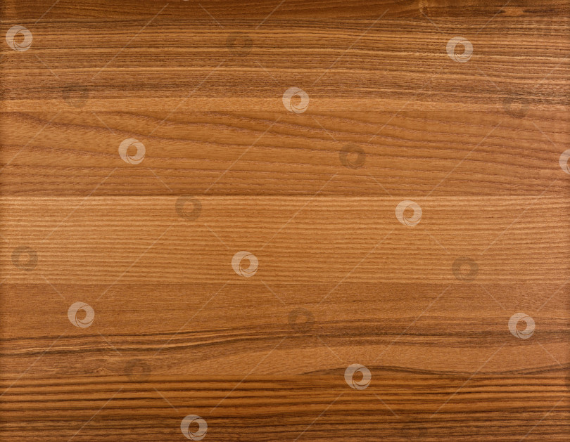 Скачать Brown Beige Texture of stained oak wood with grain, fragment of a wooden panel hardwood. surface bark is used as natural background, web page, board, table. Contrasts and symmetries. Space for text. фотосток Ozero